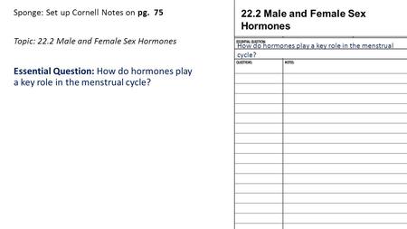 Sponge: Set up Cornell Notes on pg. 75 Topic: 22.2 Male and Female Sex Hormones Essential Question: How do hormones play a key role in the menstrual cycle?