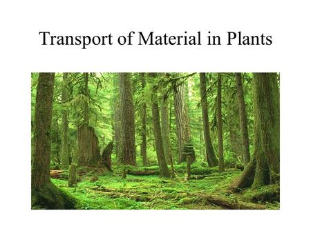 Transport of Material in Plants. Internal Transport in Plants Small plants rely on simple diffusion or branching tubules to transport material throughout.