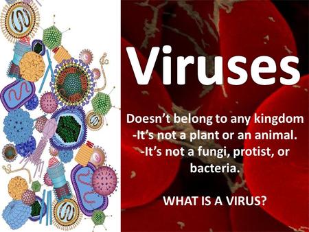 Viruses Doesn’t belong to any kingdom -It’s not a plant or an animal.