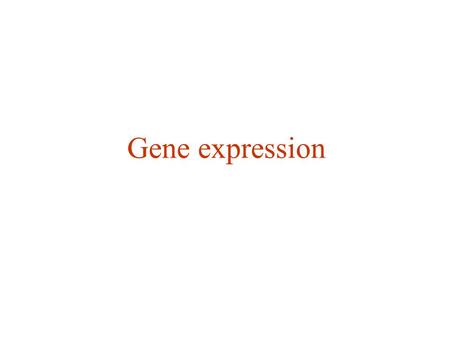 Gene expression. Gene Expression 2 protein RNA DNA.