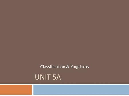UNIT 5A Classification & Kingdoms. I. Classification a. Organize items so you can better understand and find them b. Based on Similarities c. Taxonomy: