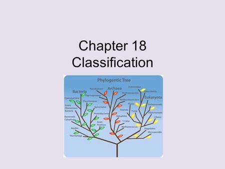 Chapter 18 Classification. Classifying A great diversity of organisms requires a universal way to name them Taxonomy – allows biologists to name and classify.