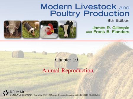 Copyright © 2010 Delmar, Cengage Learning. ALL RIGHTS RESERVED. Chapter 10 Animal Reproduction.