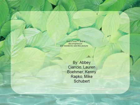 Wisconsin Fast Plant By: Abbey Ciancio, Lauren Boehmer, Kenny Rapko, Mike Schubert.