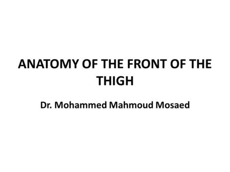 ANATOMY OF THE FRONT OF THE THIGH