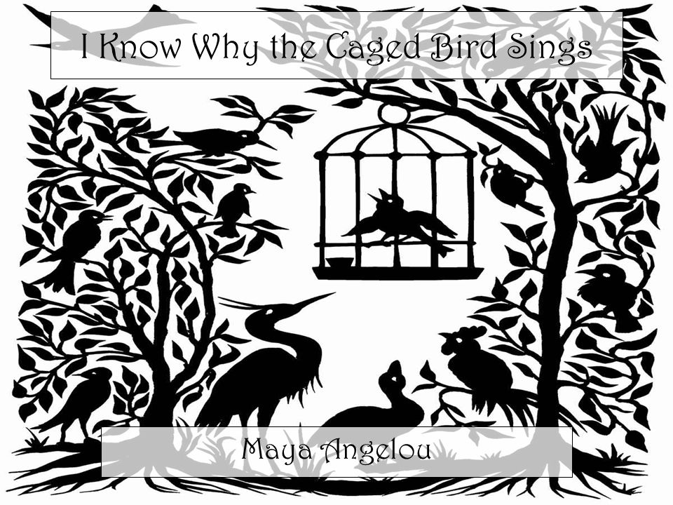 plot of i know why the caged bird sings