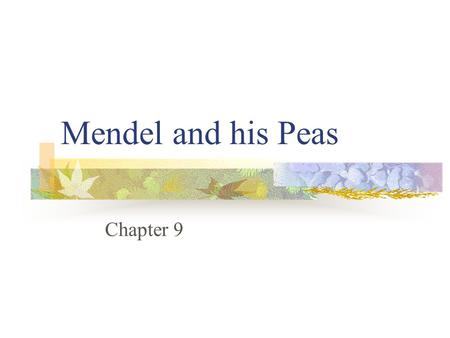 Mendel and his Peas Chapter 9. State Objectives CLE 3210.4.5 Recognize how meiosis and sexual reproduction contribute to genetic variation in a population.