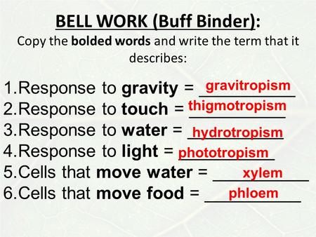 BELL WORK (Buff Binder): Copy the bolded words and write the term that it describes: 1.Response to gravity = __________ 2.Response to touch = __________.