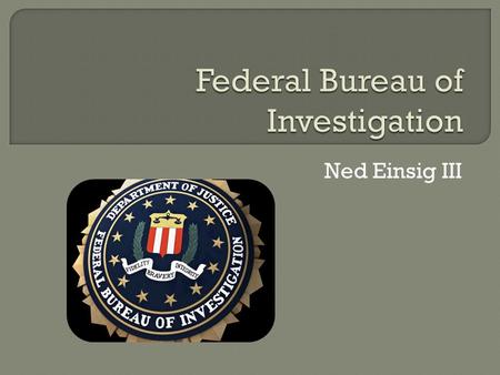 Ned Einsig III.  Domestic Intelligence & Security Service of the United States  Prime Federal Law Enforcement Organization  Jurisdiction on over 200.