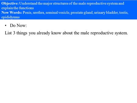 Objective: Understand the major structures of the male reproductive system and explain the functions New Words: Penis, urethra, seminal vesicle, prostate.