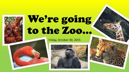 We’re going to the Zoo… Friday, October 30, 2015.