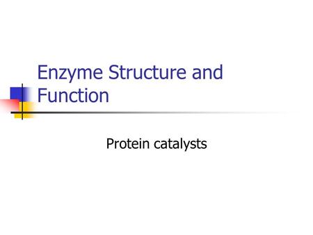 Enzyme Structure and Function Protein catalysts. Enzymes are Catalysts This means that enzymes help speed up chemical reactions. How? Enzymes lower the.