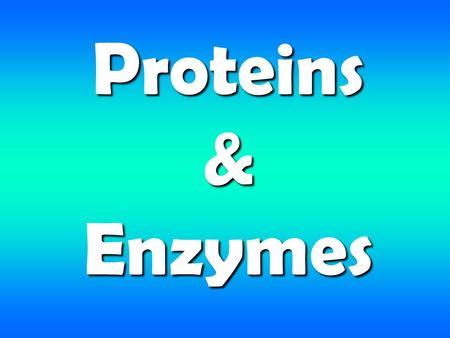 Proteins & Enzymes.
