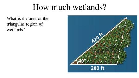 How much wetlands? What is the area of the triangular region of wetlands?