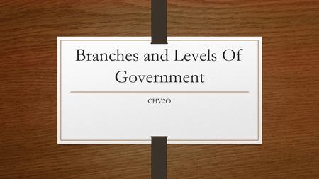 Branches and Levels Of Government