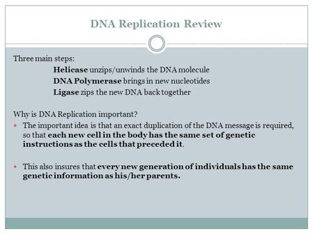 DNA Replication Review Three main steps: Helicase unzips/unwinds the DNA molecule DNA Polymerase brings in new nucleotides Ligase zips the new DNA back.