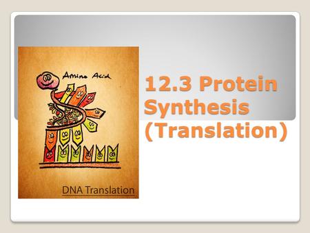 12.3 Protein Synthesis (Translation). Watch these animations and try to explain what is going on. ◦Animation 1Animation 1 ◦Animation 2Animation 2.