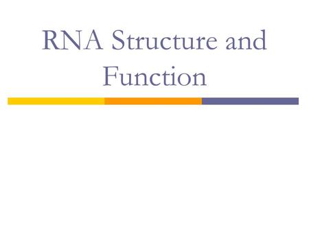 RNA Structure and Function. Another Nucleic Acid?? Meet RNA  Monomer: Polymer:  What are some differences between DNA and RNA?