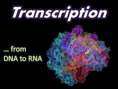 The Central Dogma of Molecular Biology replication transcription translation.