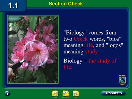 Section 1 Check Biology comes from two Greek words, bios meaning life, and logos meaning study. Biology = the study of life.