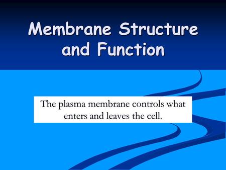 Membrane Structure and Function The plasma membrane controls what enters and leaves the cell.