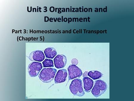 Part 3: Homeostasis and Cell Transport (Chapter 5)