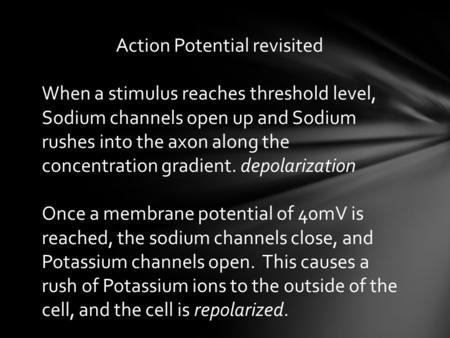 Action Potential revisited When a stimulus reaches threshold level, Sodium channels open up and Sodium rushes into the axon along the concentration gradient.