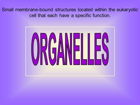 Small membrane-bound structures located within the eukaryotic cell that each have a specific function.