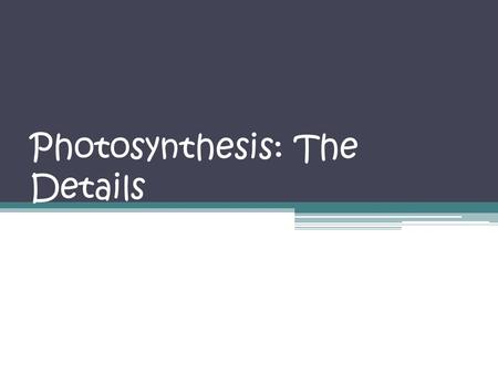 Photosynthesis: The Details. Photosynthesis is a two stage process.