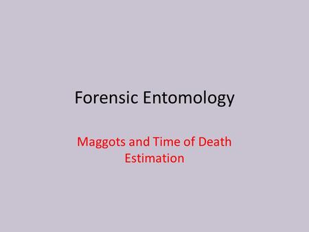 Maggots and Time of Death Estimation