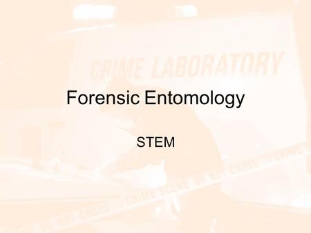 Forensic Entomology STEM.