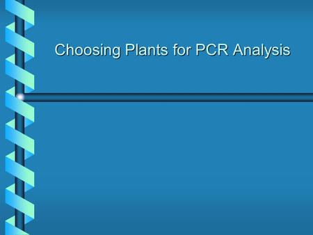 Choosing Plants for PCR Analysis. Measuring Gene Homology We would like to study the diversity of GAPC and GAPC-2 genes in various plant speciesWe would.