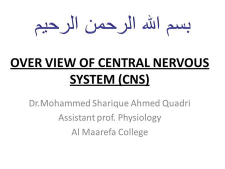 OVER VIEW OF CENTRAL NERVOUS SYSTEM (CNS) Dr.Mohammed Sharique Ahmed Quadri Assistant prof. Physiology Al Maarefa College.