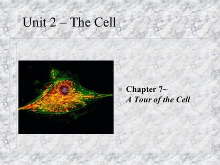 Unit 2 – The Cell n Chapter 7~ A Tour of the Cell.