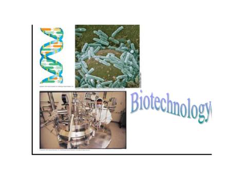 DNA Technology Terminology USES of DNA technology DNA fingerprinting protein production gene therapy GMO - Genetically Modified Organisms cloning Stem.