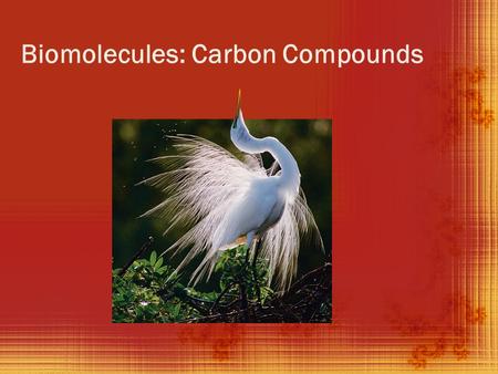 Biomolecules: Carbon Compounds. The Element Carbon (back side)  Carbon is the most abundant element found in living things.  Carbon has 4 valence electrons.