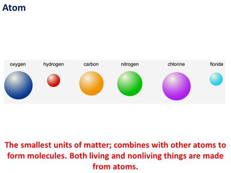 Atom The smallest units of matter; combines with other atoms to form molecules. Both living and nonliving things are made from atoms.