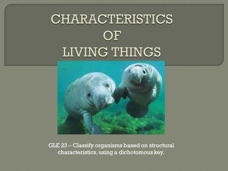 GLE 23 – Classify organisms based on structural characteristics, using a dichotomous key.