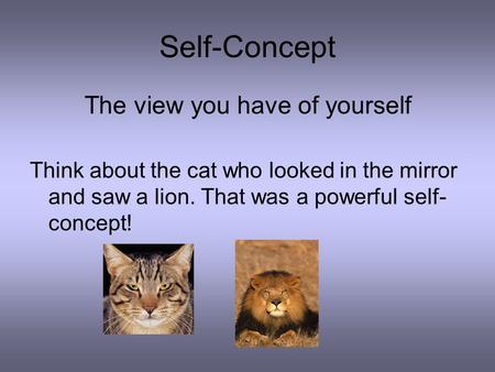 Self-Concept The view you have of yourself Think about the cat who looked in the mirror and saw a lion. That was a powerful self- concept!