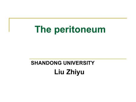 SHANDONG UNIVERSITY Liu Zhiyu