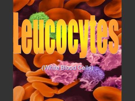 (White Blood Cells). Leucocytes Specific – 3 rd line Non- specific – 2 nd line.