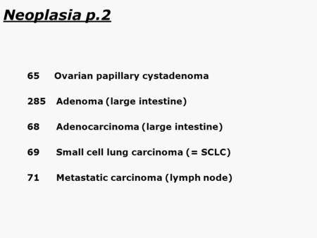 Neoplasia p.2 65 Ovarian papillary cystadenoma 285 Adenoma (large intestine) 68 Adenocarcinoma (large intestine) 69 Small cell lung carcinoma (= SCLC)