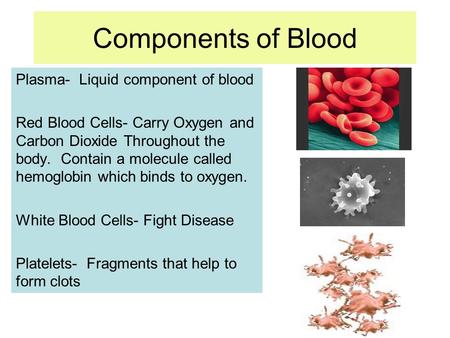 Components of Blood Plasma- Liquid component of blood Red Blood Cells- Carry Oxygen and Carbon Dioxide Throughout the body. Contain a molecule called hemoglobin.