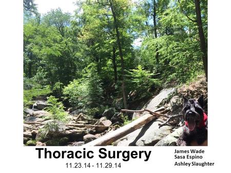 James Wade Sasa Espino Ashley Slaughter Thoracic Surgery 11.23.14 - 11.29.14.