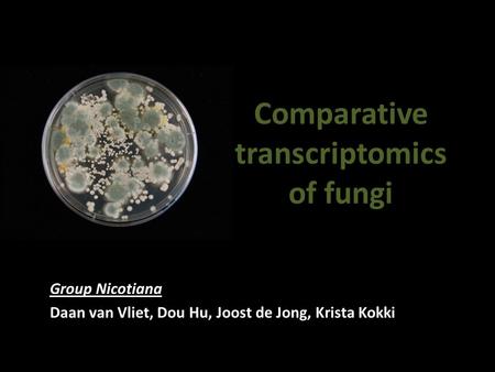 Comparative transcriptomics of fungi Group Nicotiana Daan van Vliet, Dou Hu, Joost de Jong, Krista Kokki.