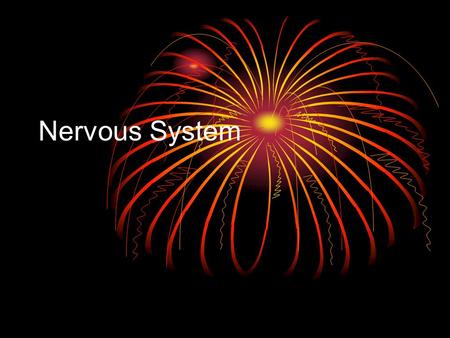 Nervous System. What does the nervous system do? The nervous system picks up messages from in and out of the body and turns them into signals that coordinate.