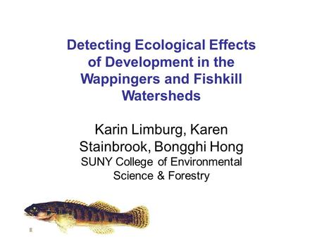 Detecting Ecological Effects of Development in the Wappingers and Fishkill Watersheds Karin Limburg, Karen Stainbrook, Bongghi Hong SUNY College of Environmental.