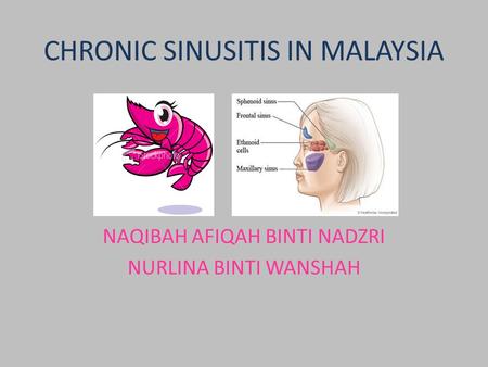 CHRONIC SINUSITIS IN MALAYSIA NAQIBAH AFIQAH BINTI NADZRI NURLINA BINTI WANSHAH.