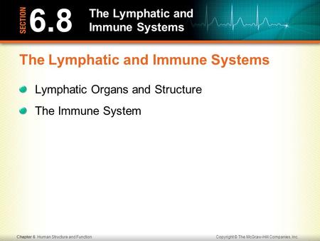 Copyright © The McGraw-Hill Companies, Inc.Chapter 6 Human Structure and Function The Lymphatic and Immune Systems Lymphatic Organs and Structure The.