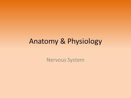 Anatomy & Physiology Nervous System. 2 main sections – Central Nervous System (CNS) – Peripheral Nervous System (PNS)